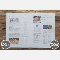 Konfirmationstidende | Build It