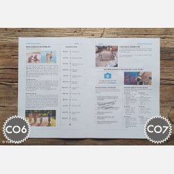 Konfirmationstidende | Build It