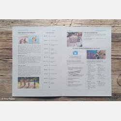 Konfirmationstidende | Colorful i naturlook